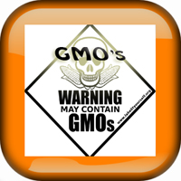 GMO White